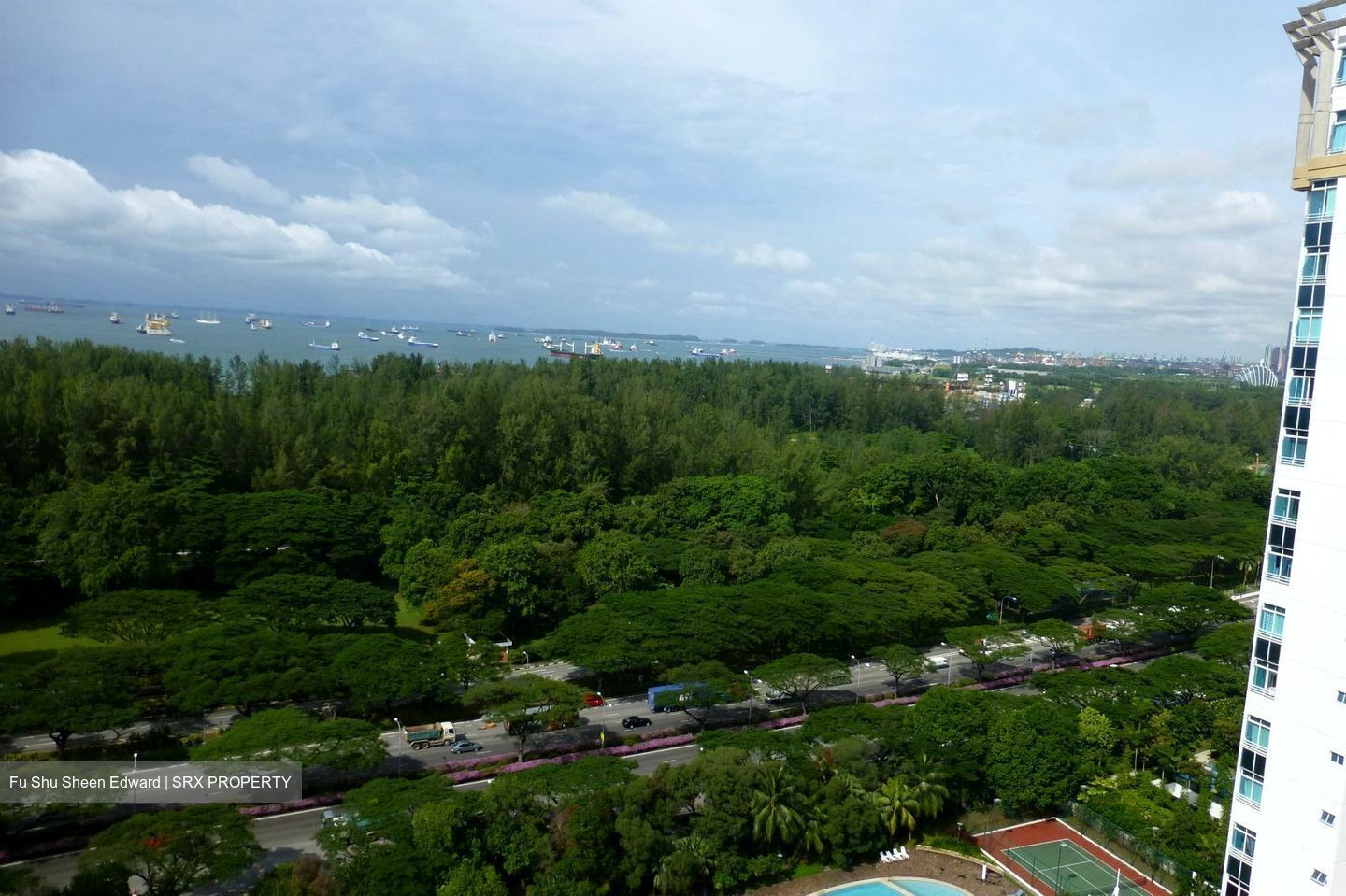 Hawaii Tower (D15), Condominium #561459341